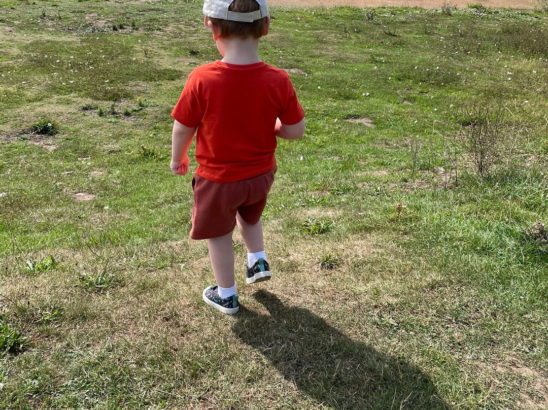 Thrybergh Country Park-罗瑟勒姆必去景点