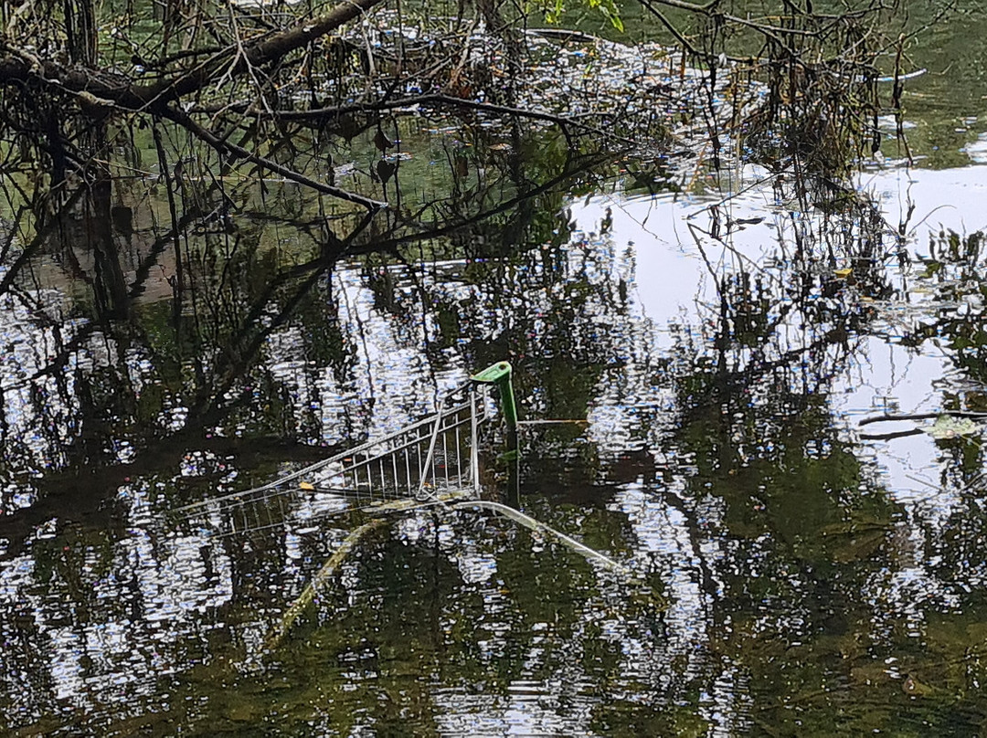 Donmouth Local Nature Reserve-阿伯丁必去景点