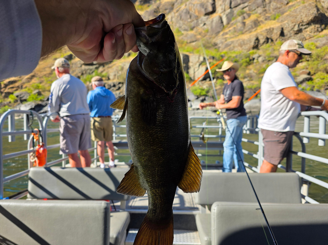 Hammer Down River Excursions-White Bird必去景点
