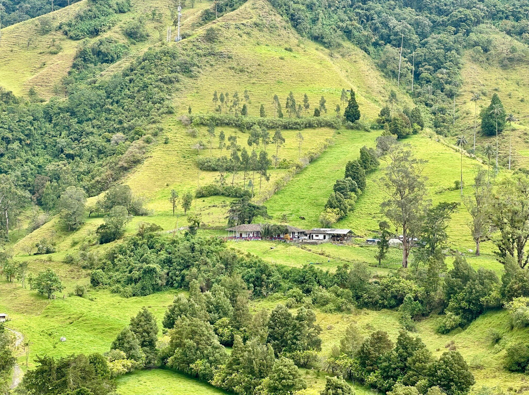 Bosques de Cocora-萨伦托必去景点