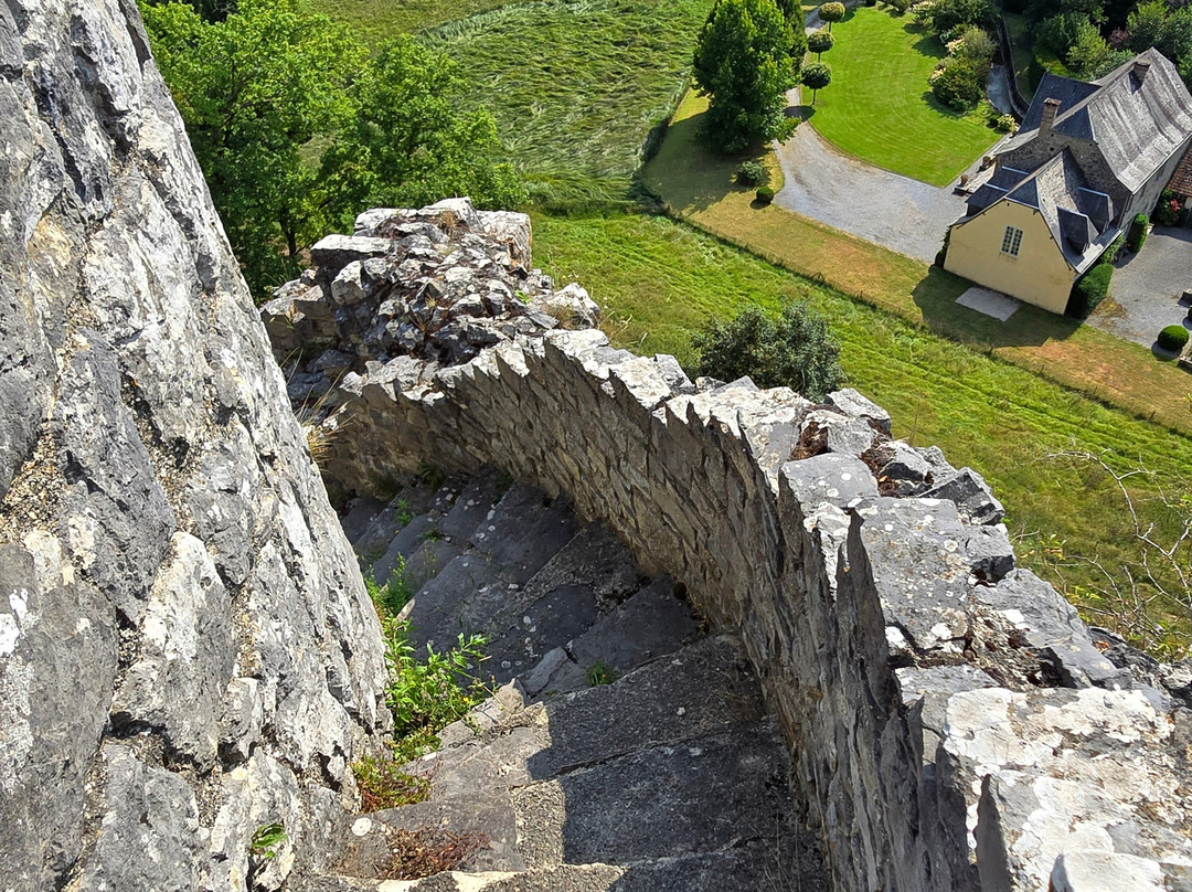 Les ruines du Chateau Fort de Montaigle-Falaen必去景点