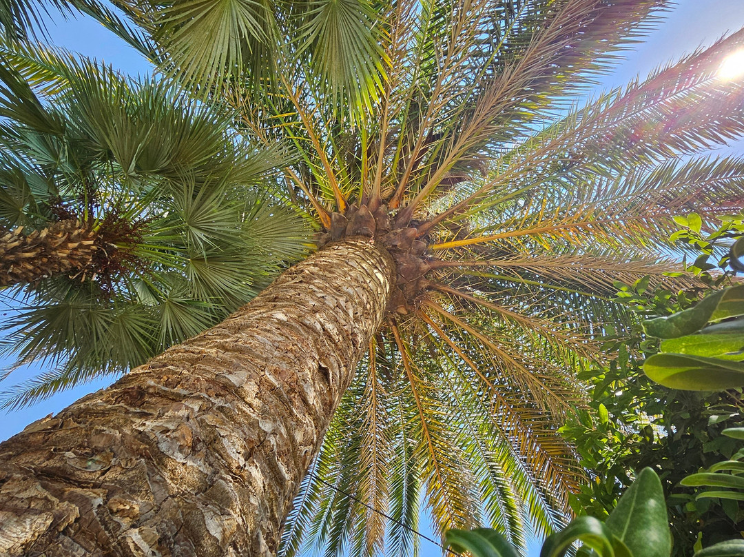 Hôtel Villa Roseraie主图