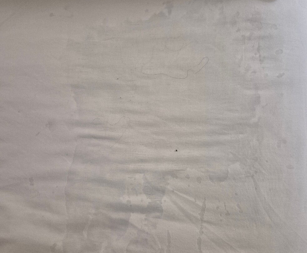 The Senator Hotel主图