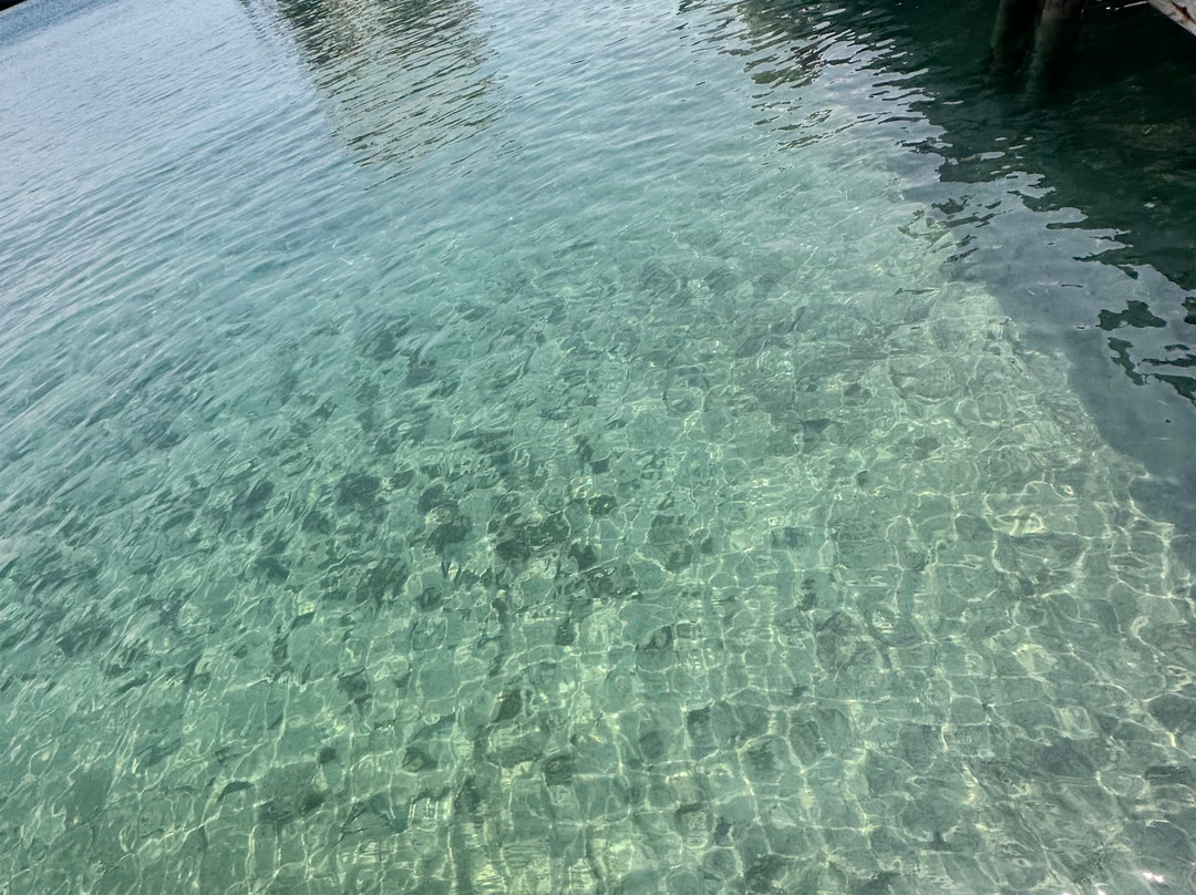 Sedir Island-马尔马里斯必去景点