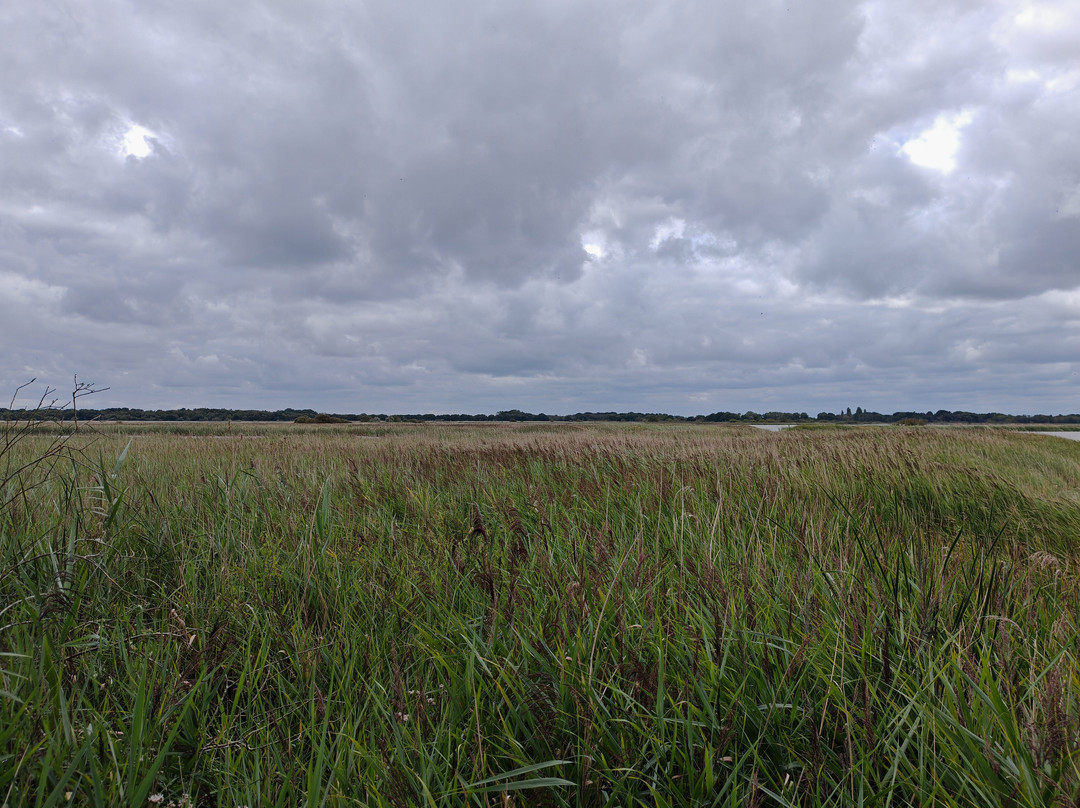 Hickling Broad and Marshes-诺福克郡必去景点