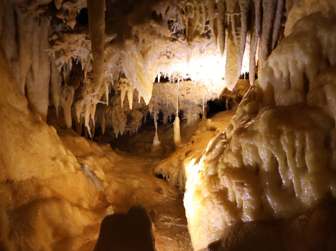 Grotte du Grand Roc-Les Eyzies-de-Tayac-Sireuil必去景点