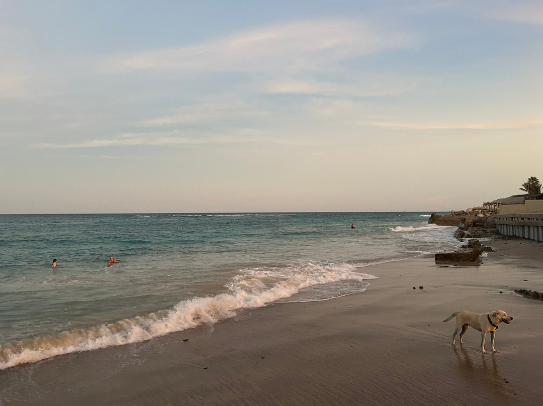 Cabo Pulmo Beach Resort主图