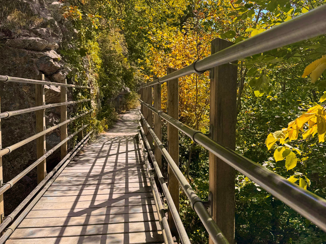 Loggerheads Country Park-Mold必去景点