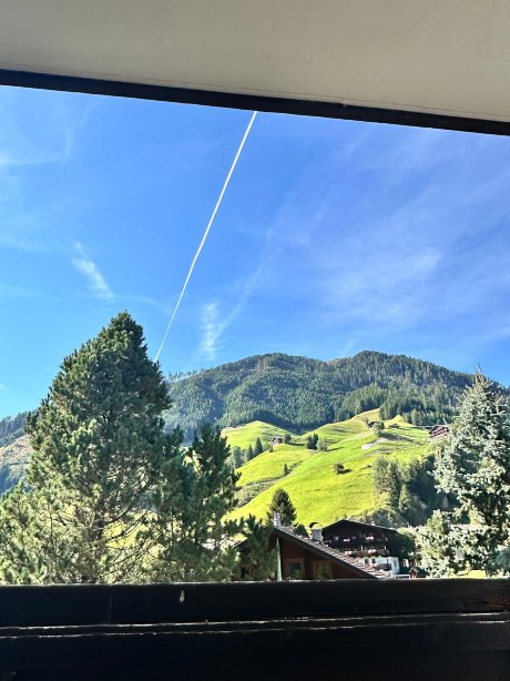 阿尔卑霍夫酒店-官方