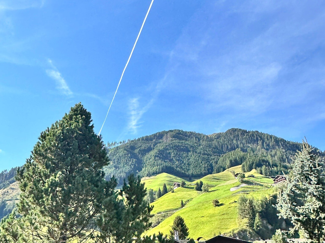 Hotel Alpenhof主图