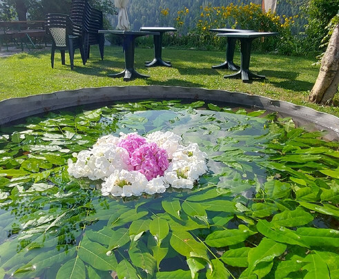 Albergo Panorama主图