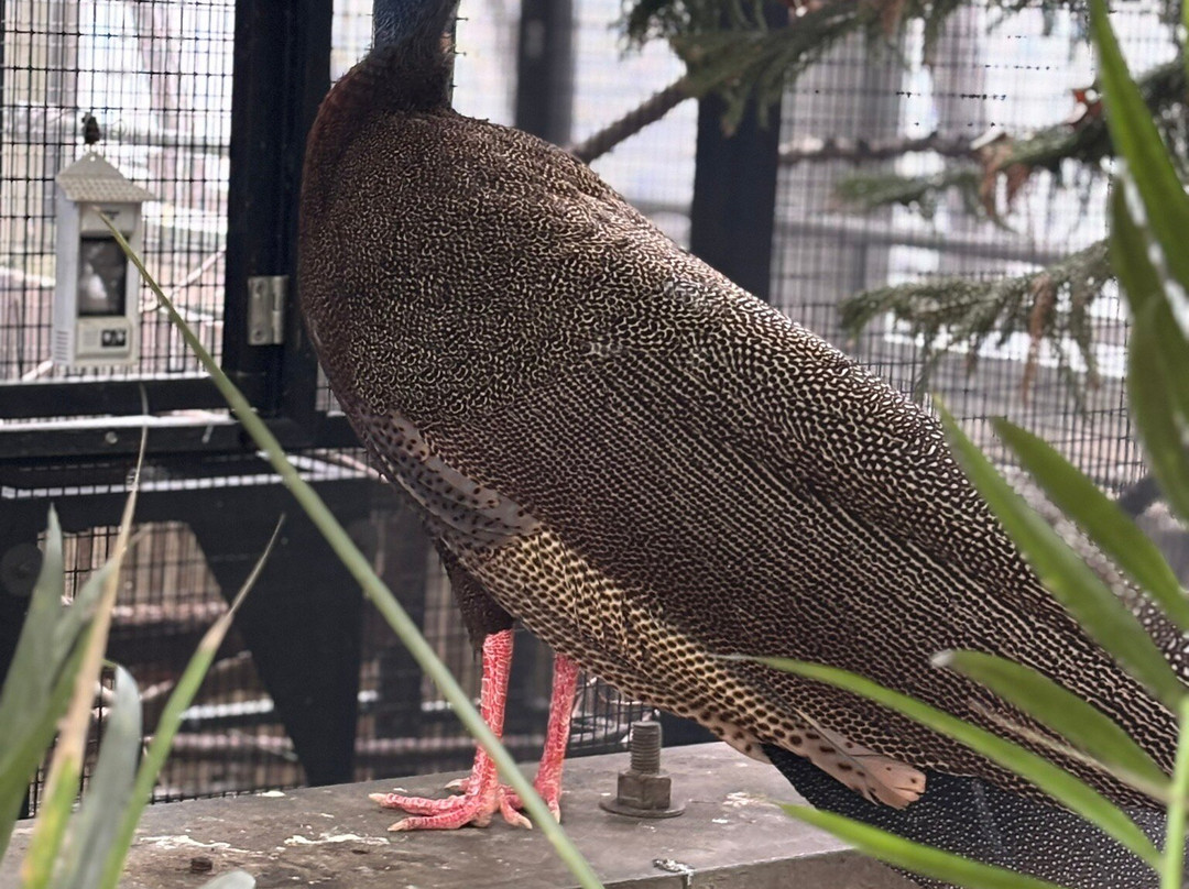 国家鸟类公园-匹兹堡必去景点