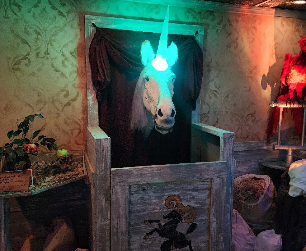 Professor Spindlewink's World Of Wizardry-塞勒姆必去景点