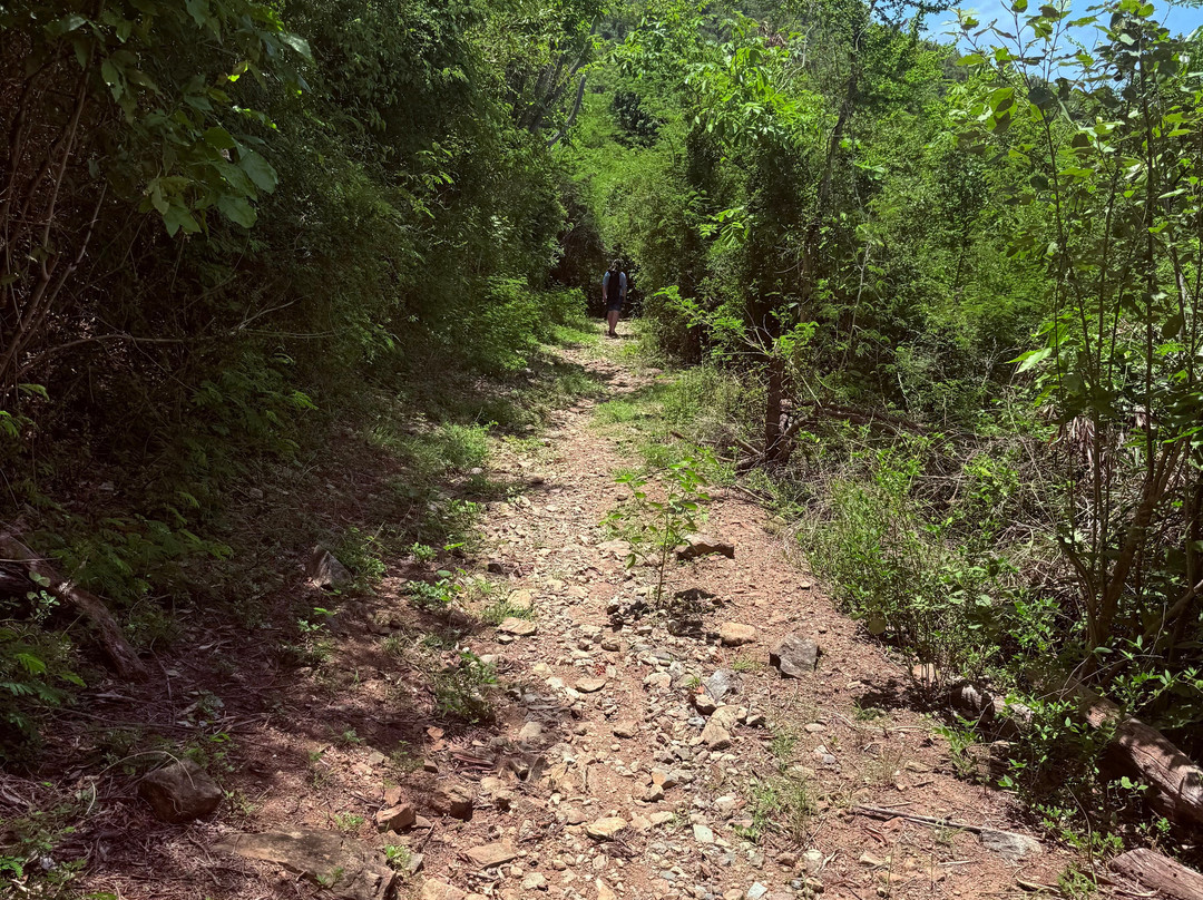 Brown Bay Trail-圣约翰必去景点