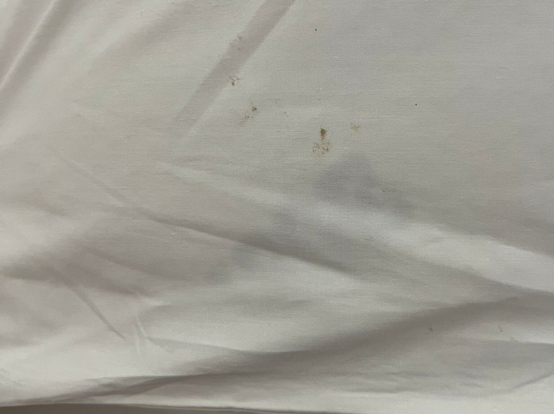 Hotel Sibilla Residence主图