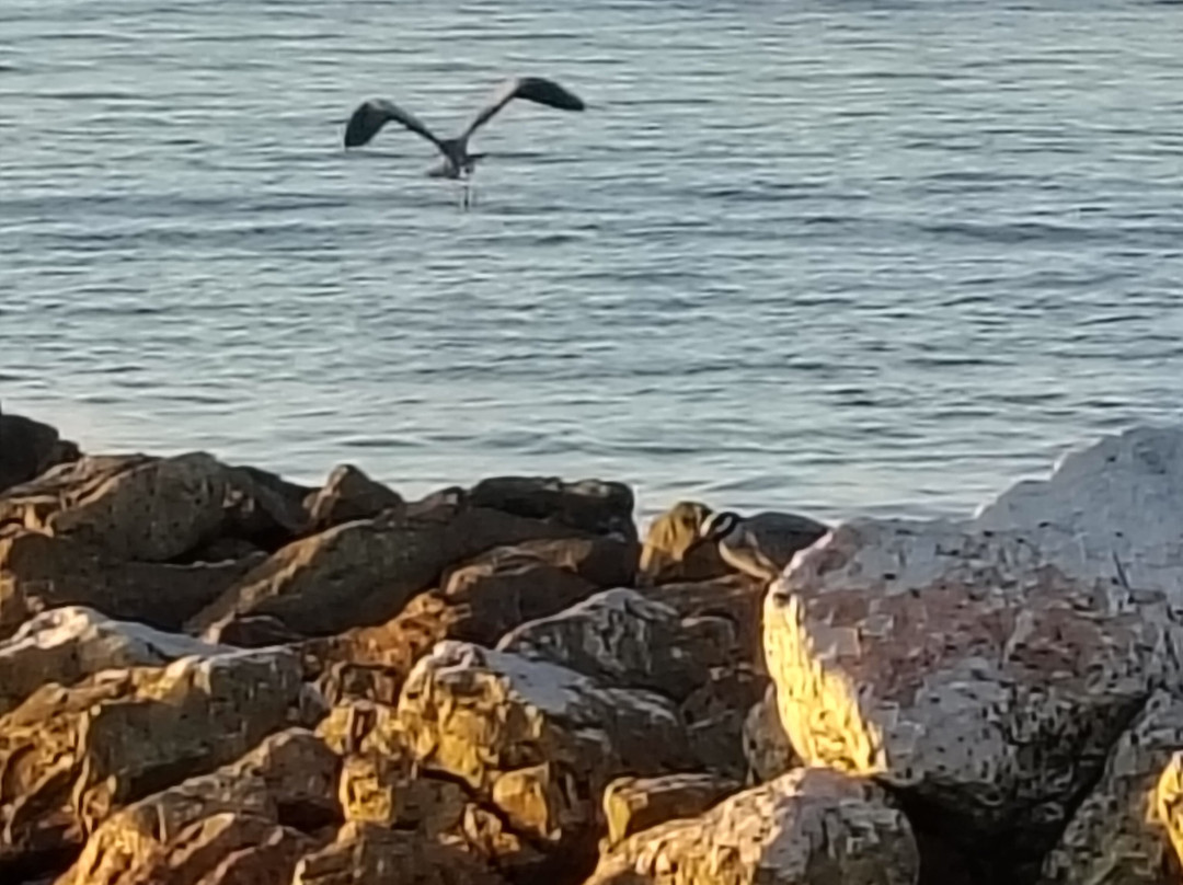 Sylvan Beach Park-拉波特必去景点