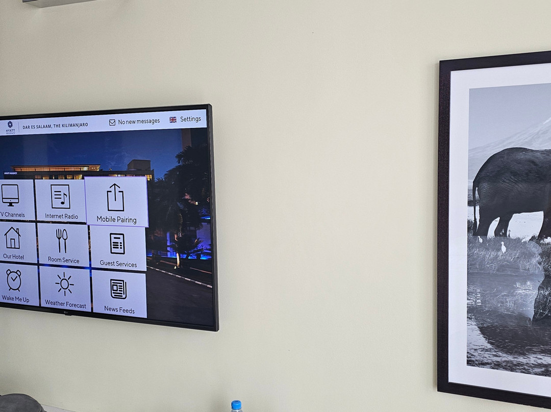 凯宾斯基吉力马扎罗酒店主图