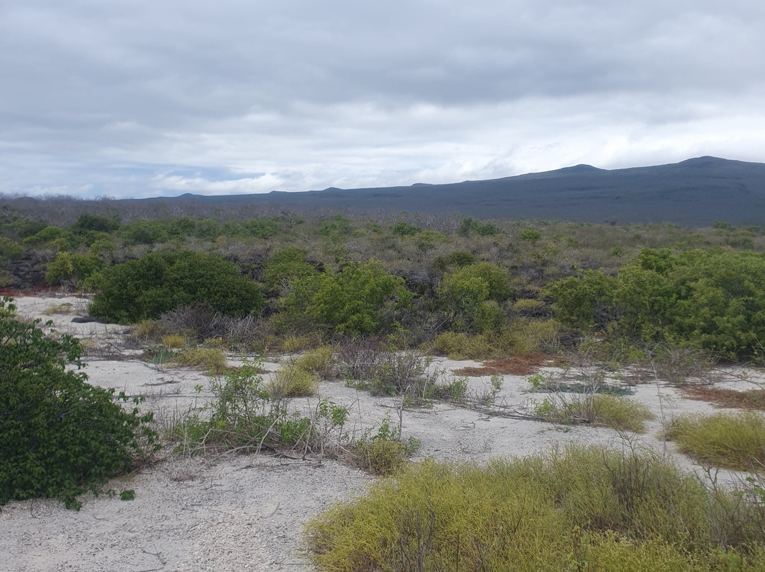 Playa El Manglecito-圣克里斯托瓦尔必去景点