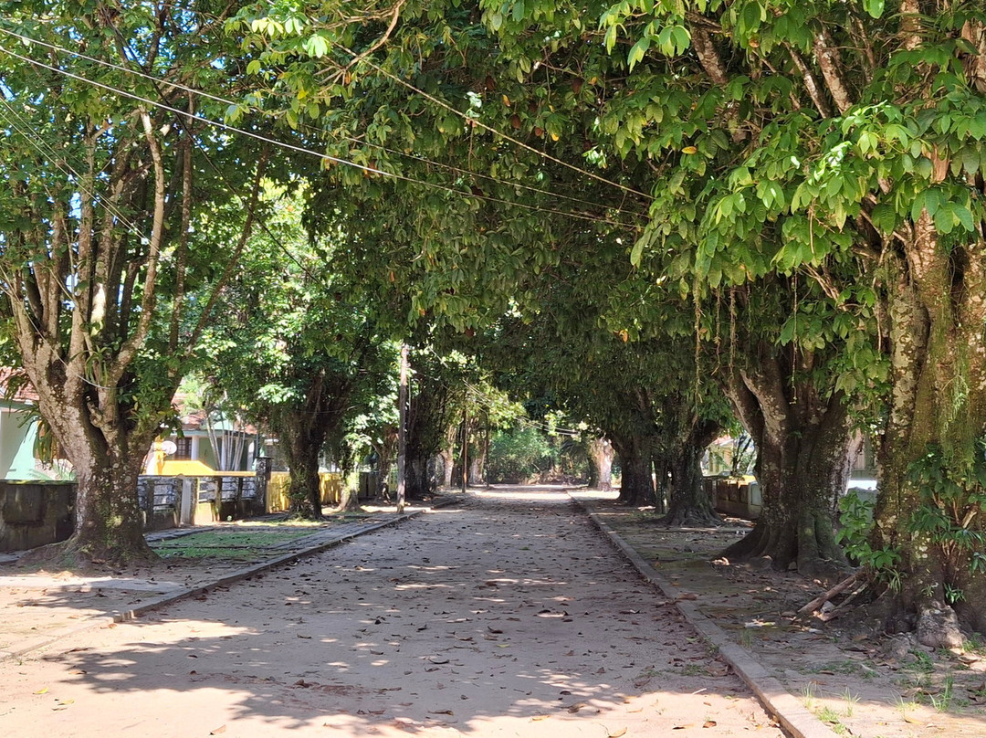 Praia de Dois Rios-格兰德岛必去景点
