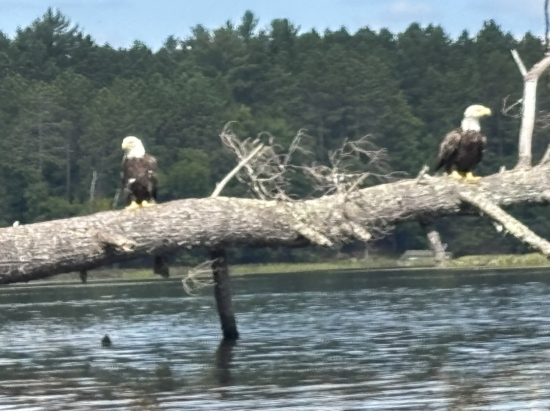 Wildwood Outdoor Adventures-伊格尔里弗必去景点