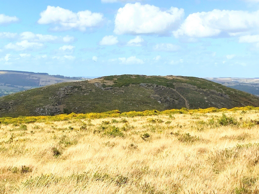 Hergest Ridge-Kington必去景点