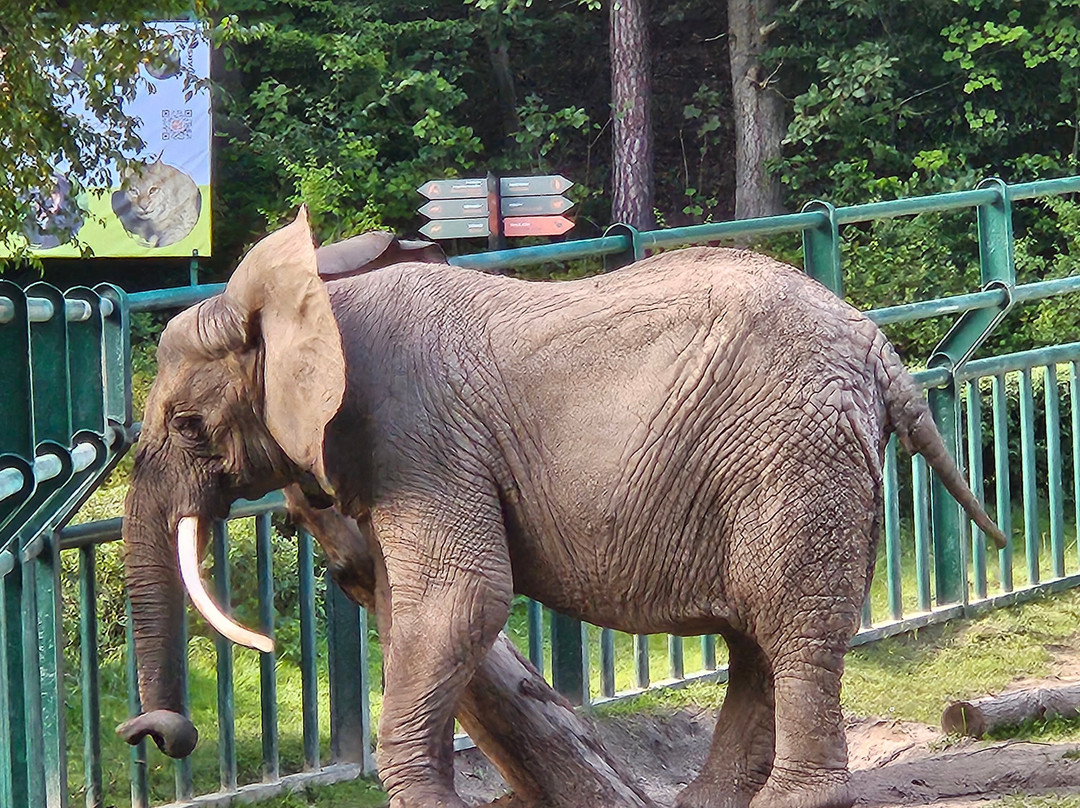 Oliwa Zoo-格但斯克必去景点