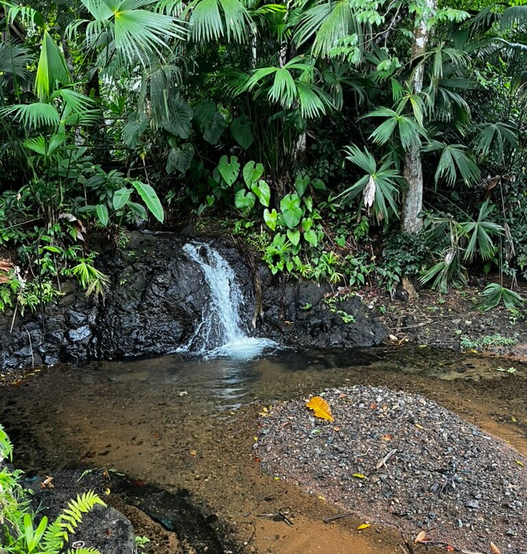 Ecolodge El Almejal主图