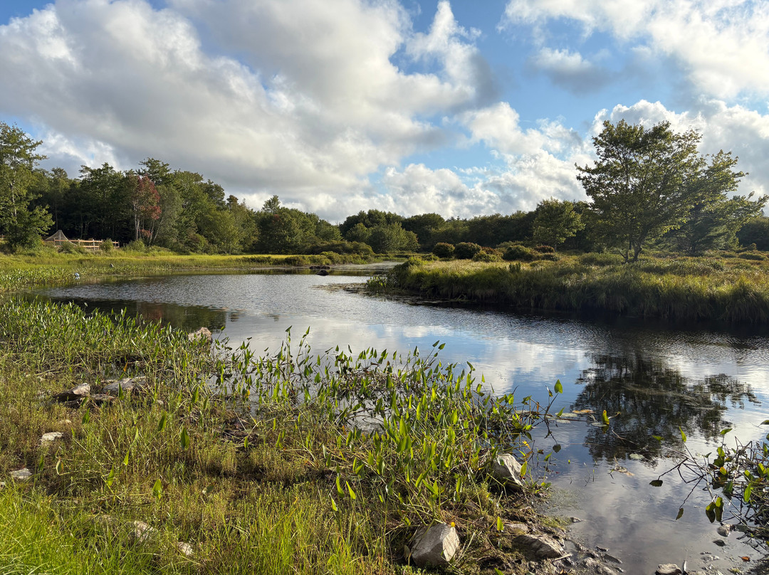 Deep Sky Eye Observatory-South Quinan必去景点