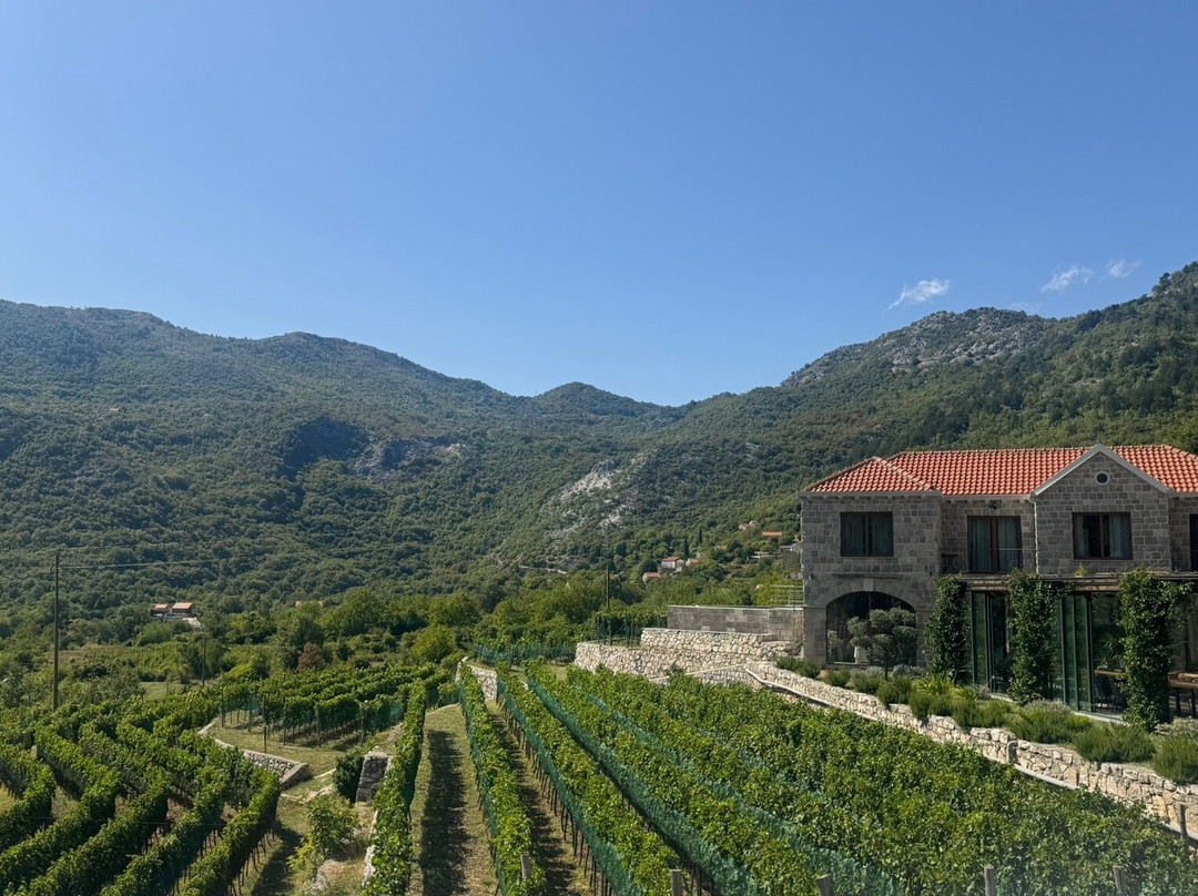 Markovic Winery & Estate-Cetinje必去景点