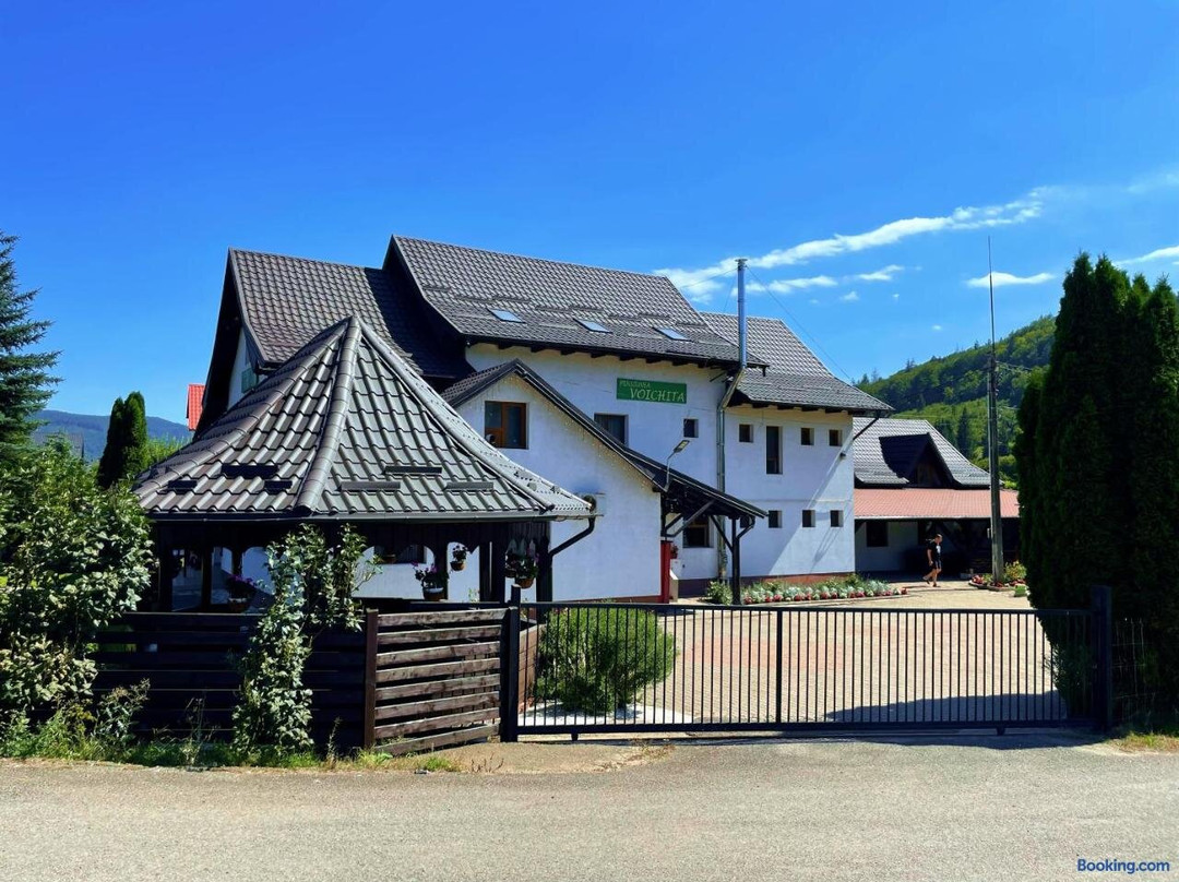 Pensiunea Voichita主图