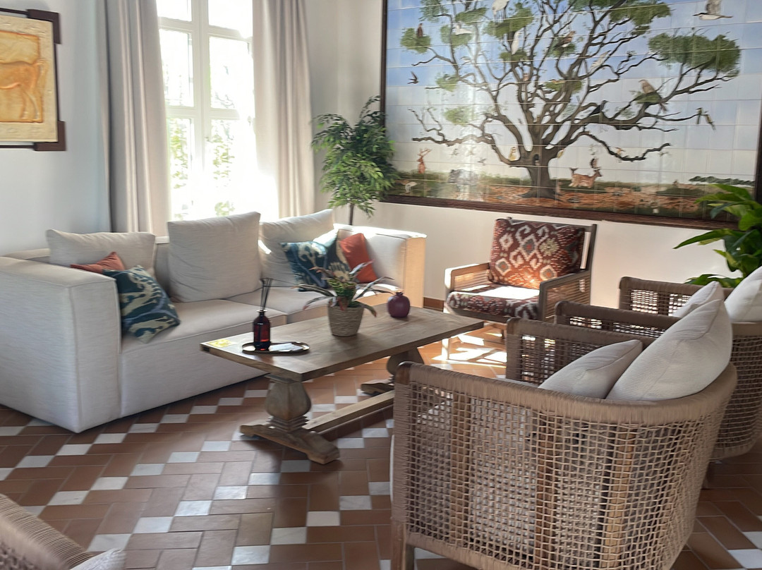 Toruno Del Rocio主图