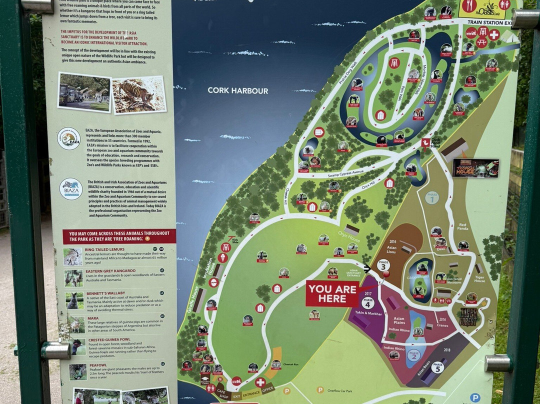 Fota Wildlife Park-Carrigtwohill必去景点