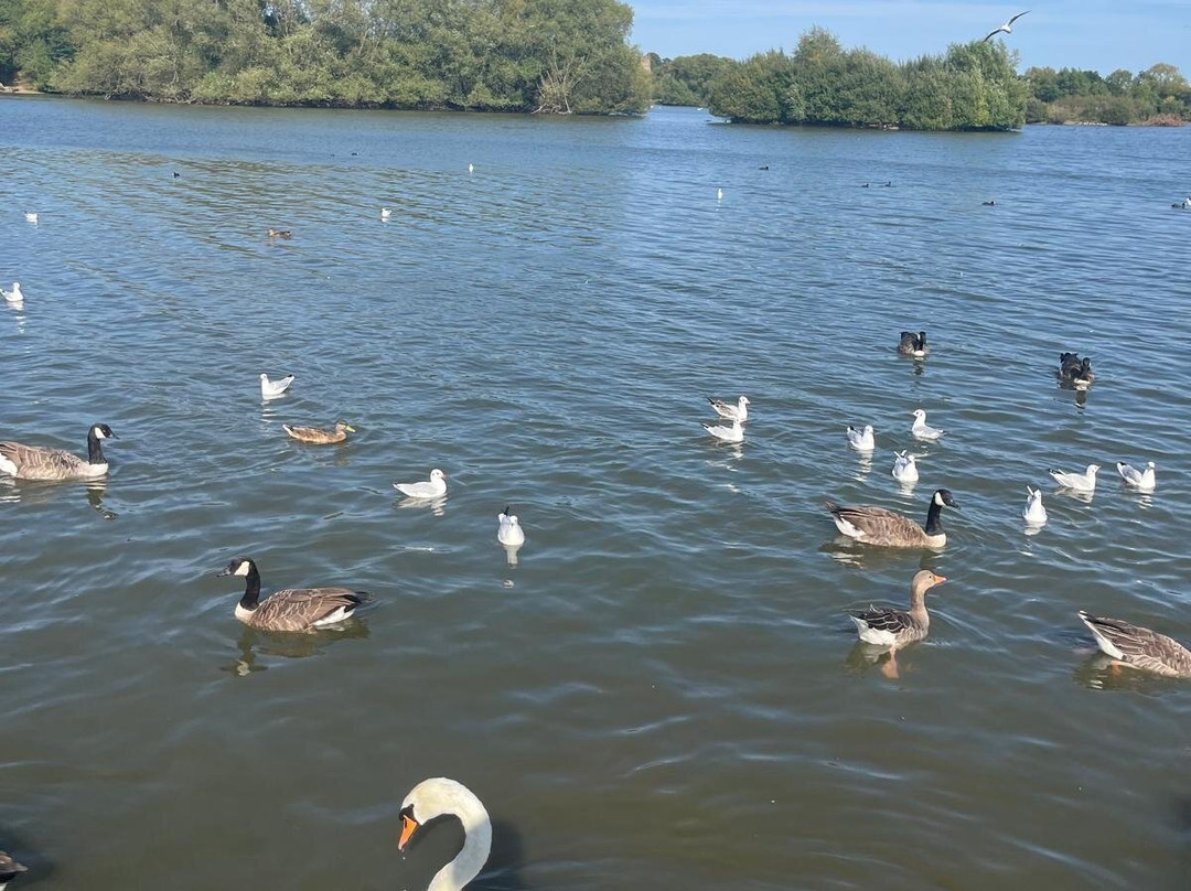 Kingsbury Water Park-萨顿科尔菲尔德必去景点
