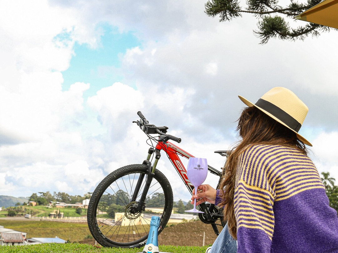 Vinícola Casa Perini-Farroupilha必去景点