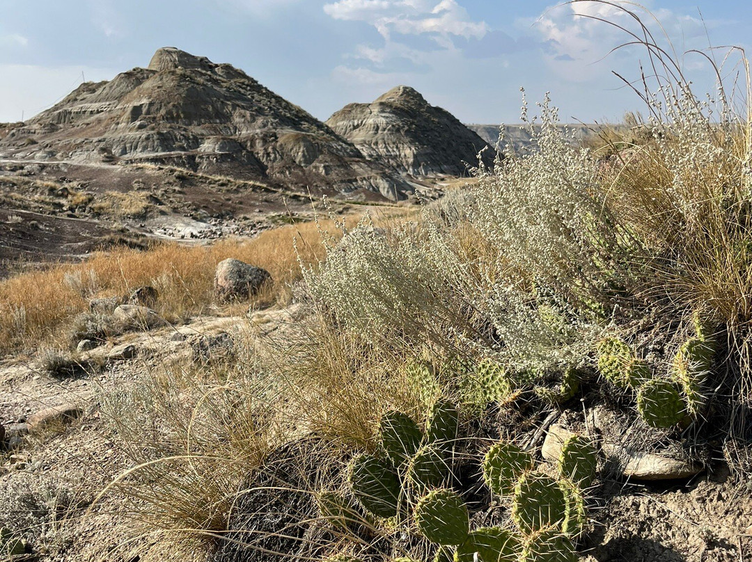 马贼峡谷-德兰赫勒必去景点