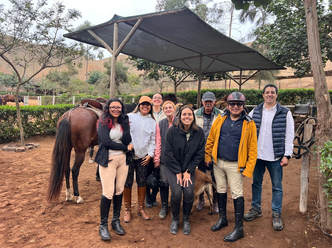 Cabalgatas-Santa Cruz de Flores必去景点