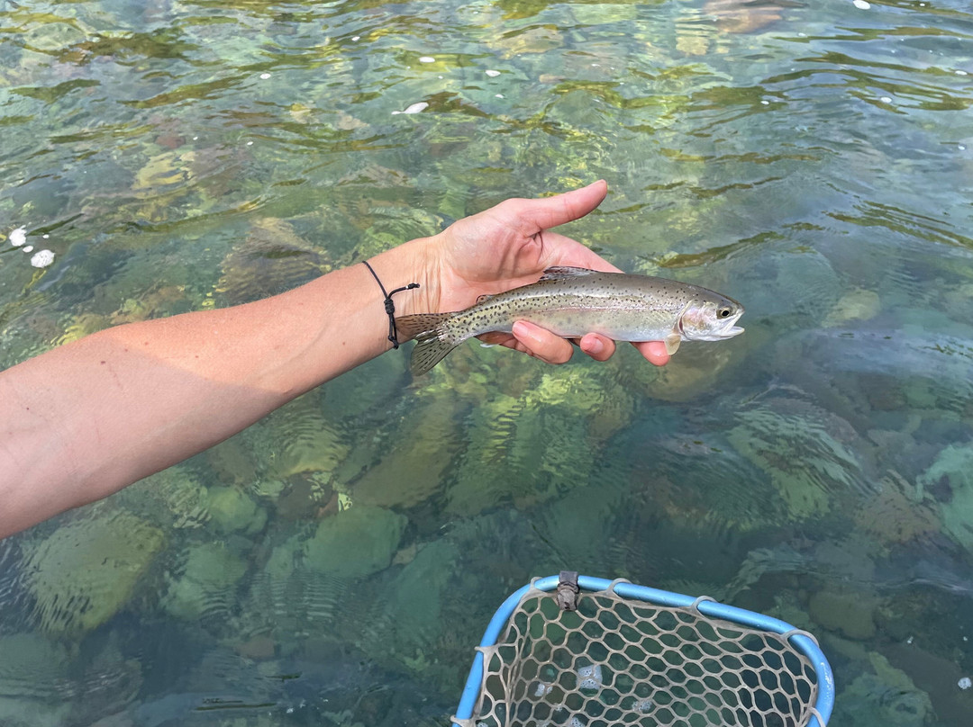 Glacier Guides and Montana Raft-西格拉西尔必去景点