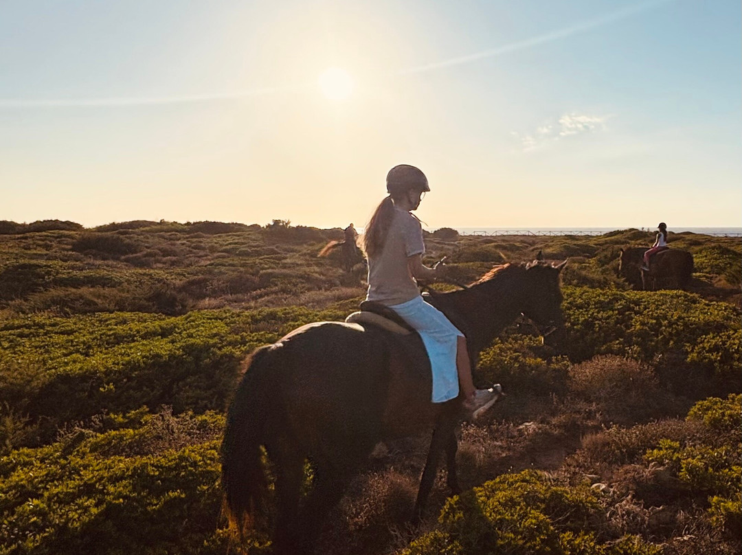 Tre Stelle Sa Mandra-阿尔盖罗必去景点