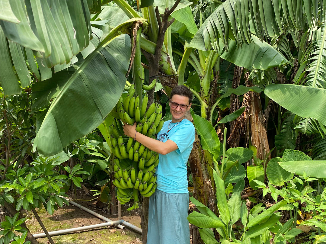Motorbike Tours Hanoi-河内必去景点