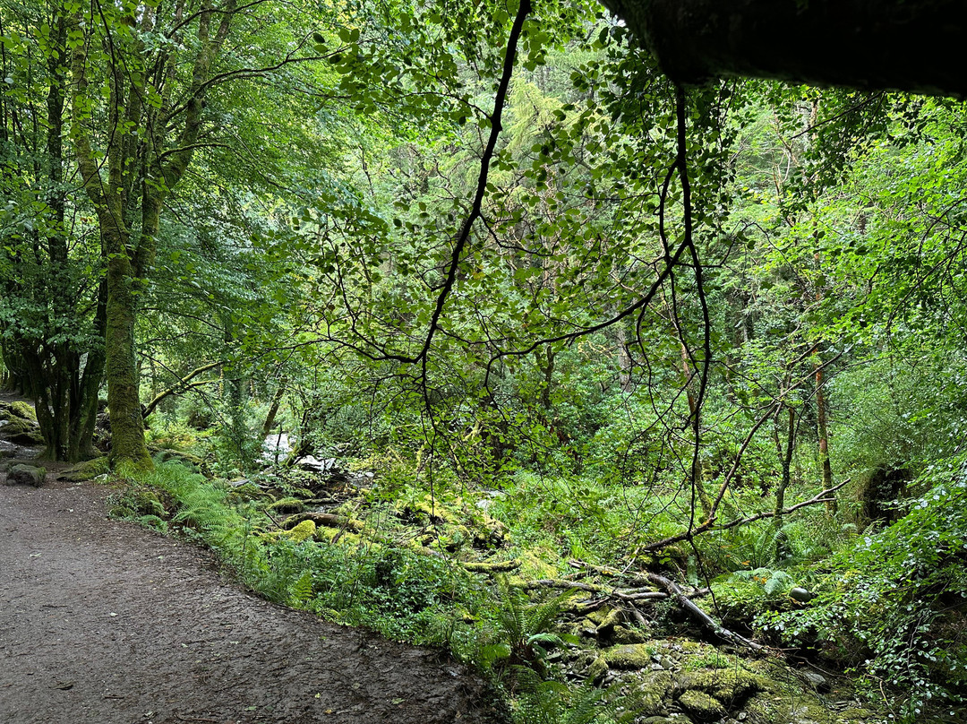 Torc Waterfall-基拉尼必去景点