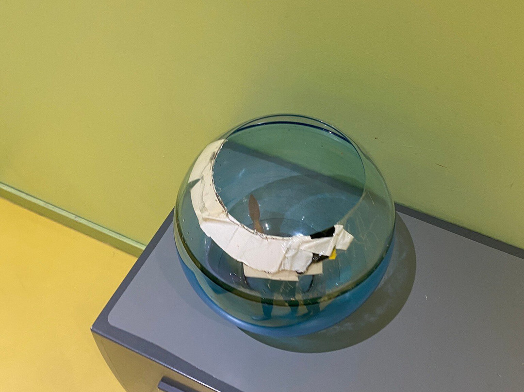 Peppa Pig World Of Play Leidschendam-Leidschendam必去景点