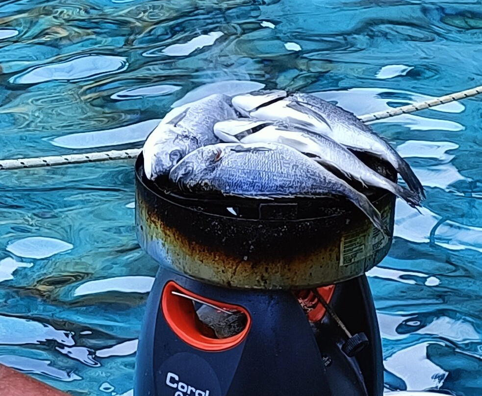 Odyssey Cruise boat-Kira Panagia必去景点