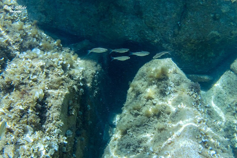 Spiaggia Li Baietti-Costa Paradiso必去景点