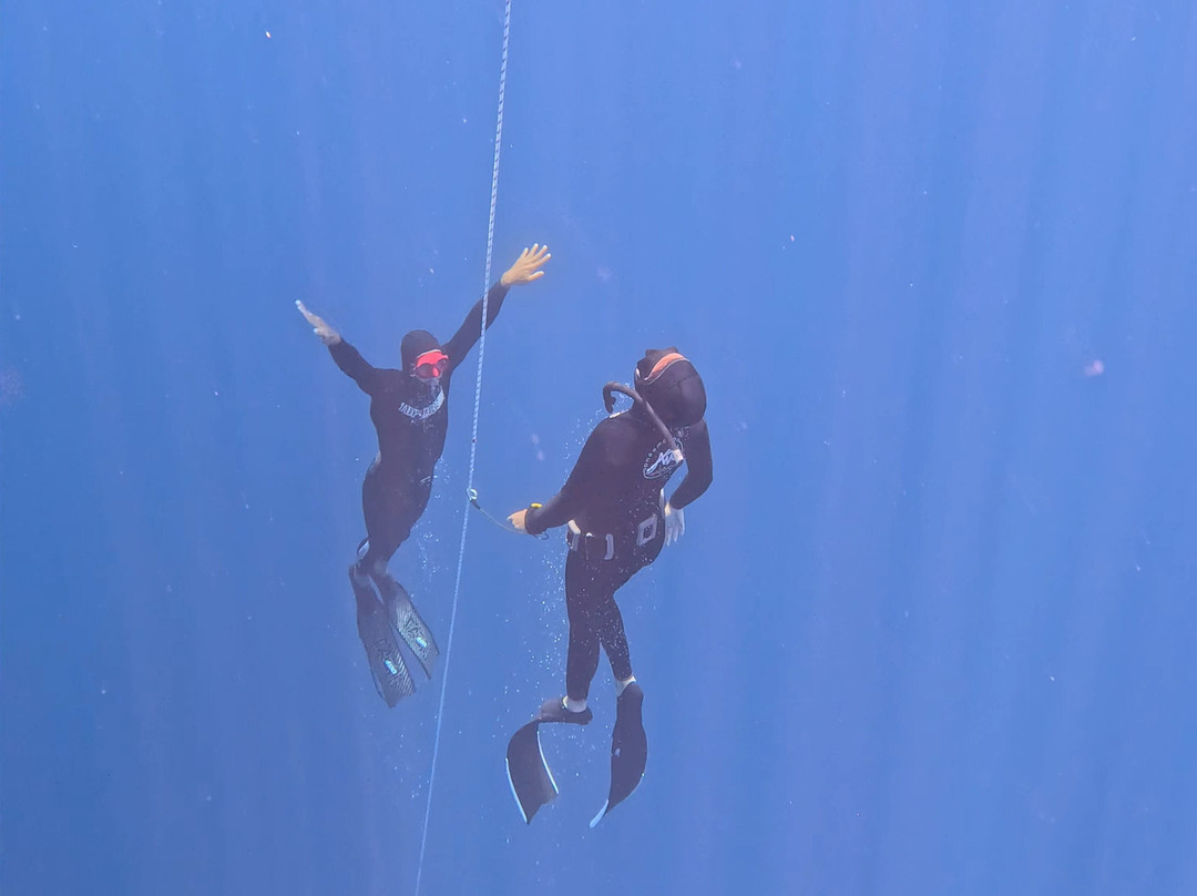 Apneemotion-Saint-Mandrier-sur-Mer必去景点