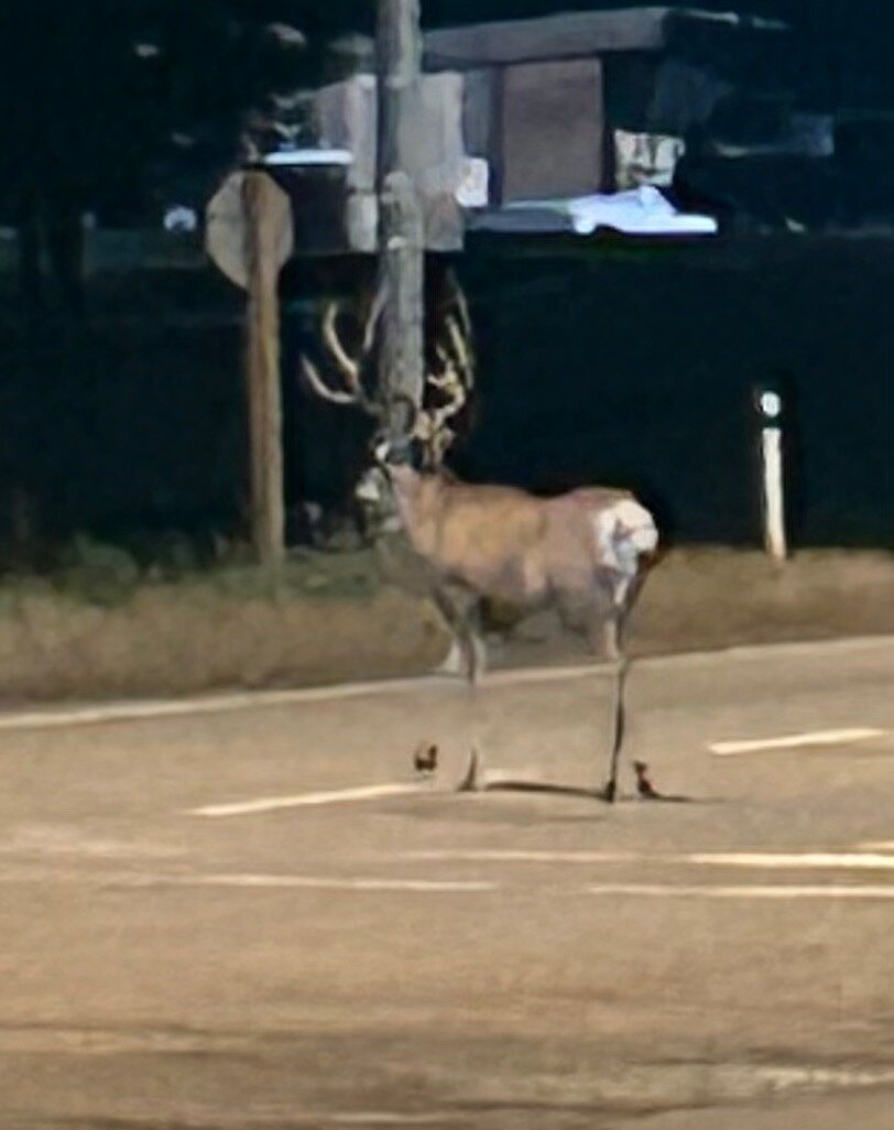 Heritage Inn Hotel & Convention Centre-官方