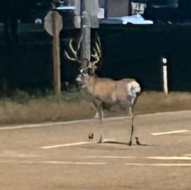 Heritage Inn Hotel & Convention Centre主图