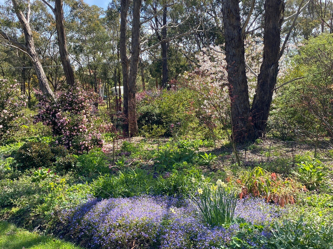 Wild Meadows Garden Little Hartley Nsw-Little Hartley必去景点