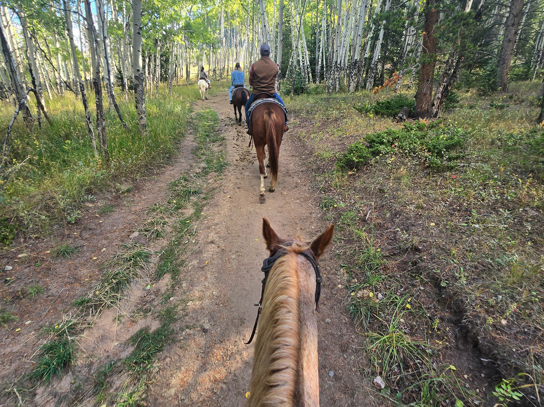 Elkhorn Stables-埃斯蒂斯公园必去景点