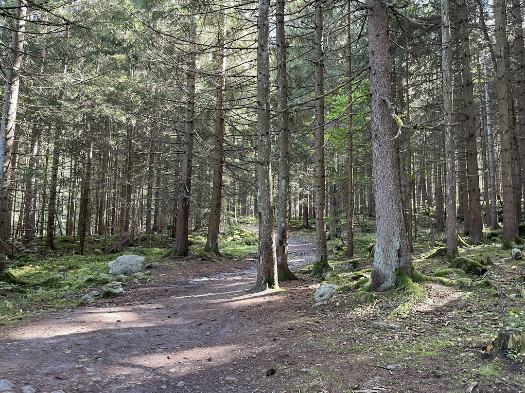 Cascade Du Dard-La Giettaz必去景点