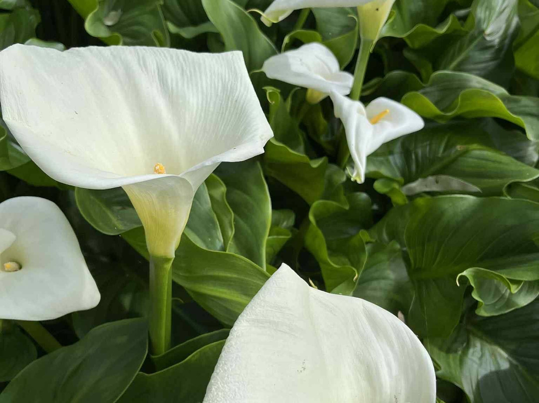 Ludlow Tuart Forest National Park-巴瑟尔顿必去景点